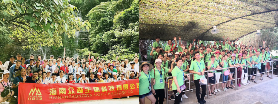 QQ圖片20180619111547.png QQ圖片20180619111547.png